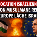 RÉPONSE MUSULMANE, LUEUR D'EXPLOSION